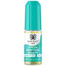 Bar Juice 5000 Fresh Menthol Mojito Nic Salt 10mg