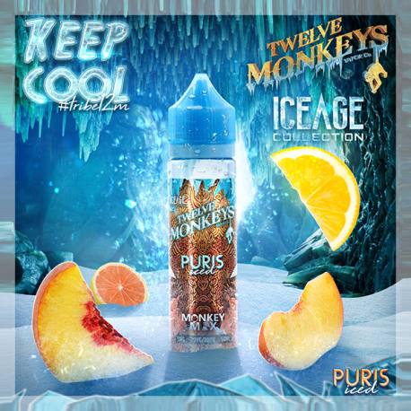 Twelve Monkeys Ice Age E-Liquid 50ml Shortfill On White Background